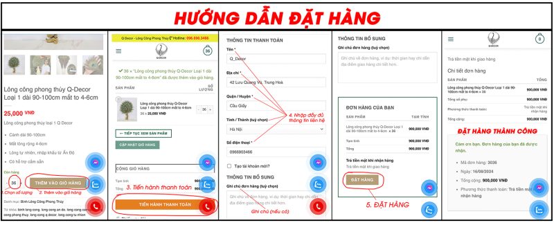 Hướng dẫn đặt lông công