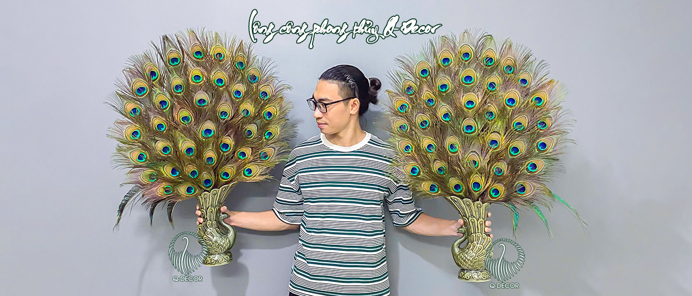 Lông công cắm sẵn